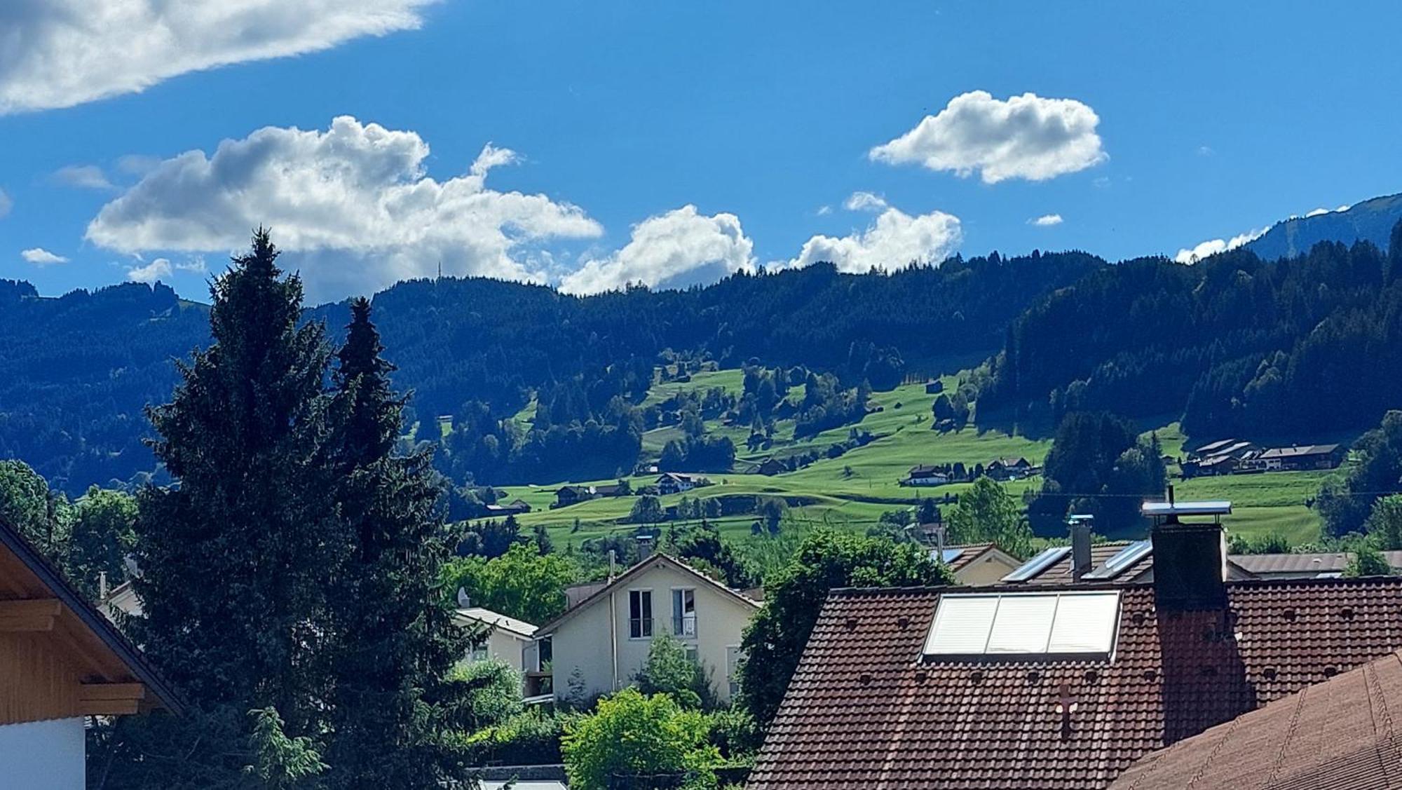 Alpenvogel *